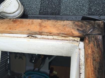 Skylight curb leak Duncan BC